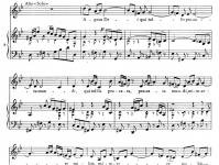 Mesha Bach në D minor.  Masa në B minor.  Historia e krijimit dhe performancës