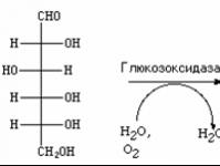 Levchenkov S.I.  Catalyse et catalyseurs Catalyse acide et basique
