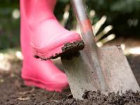 Як правильно копати на городі: поради бувалих