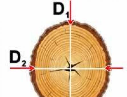 How to correctly calculate the cubic capacity of round timber: instructions for carrying out calculations