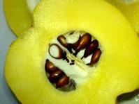 Що таке айва і як її їдять - корисні властивості та застосування фрукту