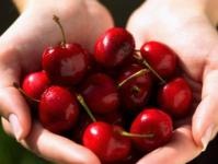 Why do you dream about cherries: sweet, red, yellow, wormy?