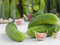 Canning cucumbers for the winter