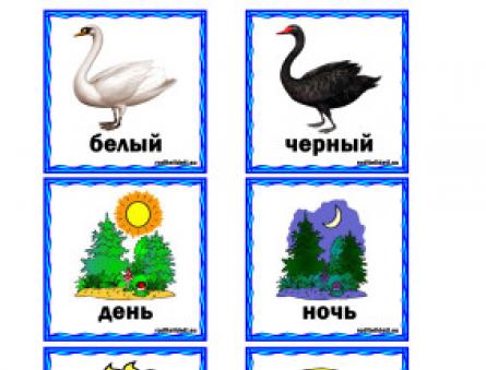 Educational game - Everything is the other way around (antonym game) Antonyms for children 4 years old