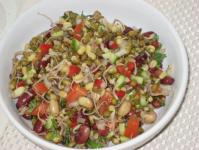 Recipes for salads and other dishes made from sprouted wheat