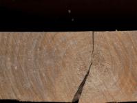 Quelle imprégnation du bois contre l'humidité et la pourriture convient à un usage extérieur ?