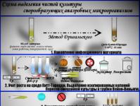 Fiziologija mikroorganizama: kulturalna svojstva bakterija, izolacija čistih kultura mikroorganizama