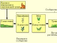 Ecosystem definition and structure its levels of organization