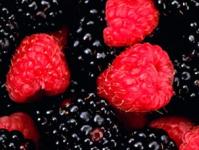 Dream Interpretation Blackberry: why do you dream about Blackberries in a dream - interpretation of dreams Why do you dream about large and sweet blackberries