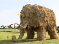 Straw figures were redrawn in the Slonim region, as they already very much resembled famous people of Belarus