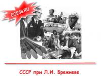 SSRS Brežnevo laikotarpiu trumpai