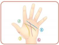 Palmistry for beginners with explanations