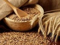 Жито: различни начини на сушење - како да се исуши житото дома Како да се направи кутија за складирање жито дома