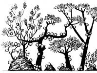Đặc điểm của cây nho và thực vật biểu sinh