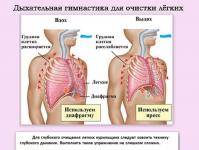 Cleansing the lungs of a smoker with folk remedies: effective ways