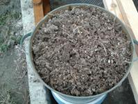 Quail droppings - the best fertilizer