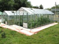 Types of greenhouses and their designs (photo)