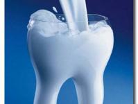Calcium - what it is found in, what foods, role in the body