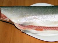 Coho salmon fish - benefits and harm Coho salmon fish - benefits and harm